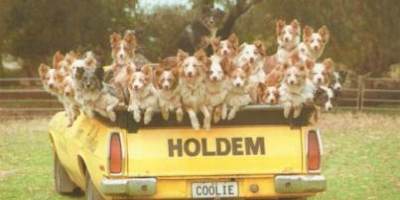 See Norms Coolies Perform - all the Coolies in the back of his ute